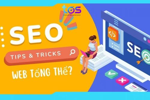 Dịch vụ SEO tổng thể giúp tối ưu hóa trên các công cụ tìm kiếm của Backlink.vn