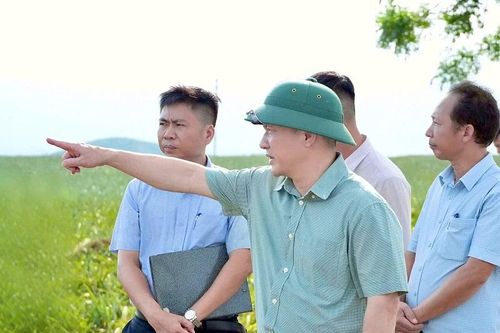 Xử lý ngay những vướng mắc, khó khăn, mục tiêu cao nhất đưa các dự án điện về đích đúng tiến độ