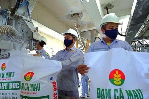 Ngành phân bón đón khởi sắc nửa đầu năm 2025 nhờ nhu cầu tăng và chính sách VAT mới