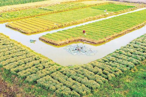 Đồng đất đổi thay trước biến đổi khí hậu