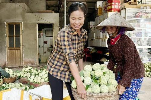 Nghĩa Phương: Nhộn nhịp mùa na