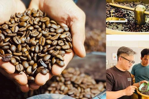 'Đánh thức' hương vị mộc mạc của cà phê Robusta Gia Lai