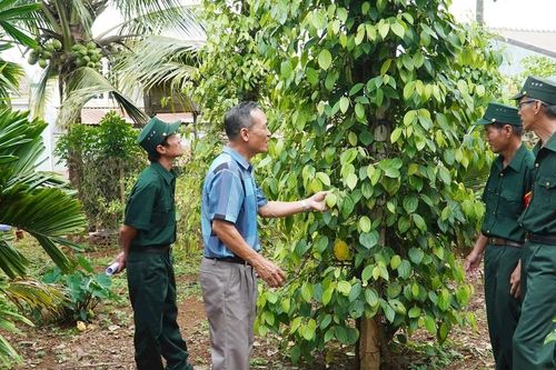 Học và làm theo Bác để xây dựng chi bộ trong sạch, vững mạnh