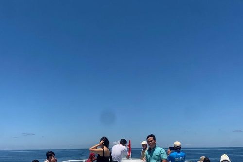 Vé tàu Phan Thiết - Phú Quý giảm giá mạnh