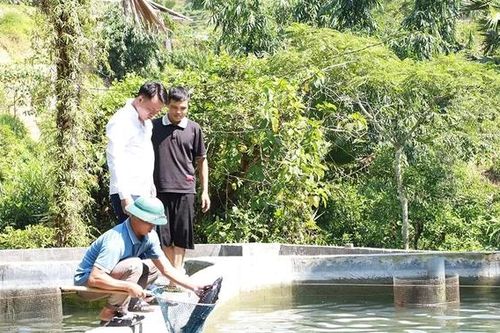 Cá tầm 'ngược núi' Cao Bồ