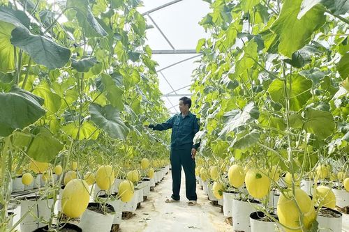 Khơi dậy tiềm năng, lợi thế đưa xã Sen Ngư phát triển nhanh và bền vững