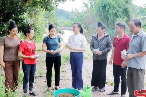 Hỗ trợ nhân dân vùng lũ khôi phục sản xuất