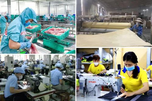 Không thể phủ nhận vai trò chủ đạo, định hướng của kinh tế nhà nước
