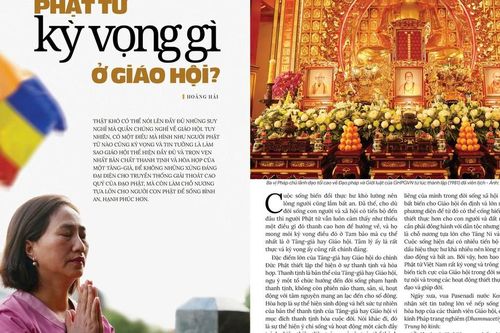 Phật tử kỳ vọng gì ở Giáo hội?