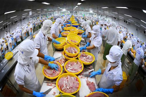 'Hải Phòng mới' và cơ hội vàng xuất khẩu nông – thủy sản sang Trung Quốc