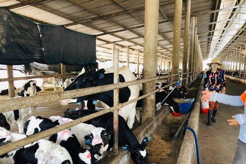 Đồng Nai thu hút đầu tư vào nông nghiệp, nông thôn:Dư địa lớn cho doanh nghiệp đầu tư phát triển nông sản tiêu chuẩn cao