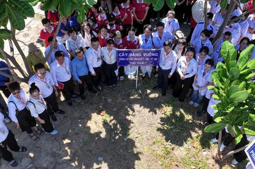 Sinh viên tham gia trồng bàng vuông, tri ân, kỷ niệm 80 năm Cách mạng Tháng Tám và Quốc khánh 2/9