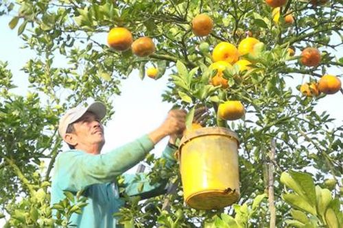 Khởi sắc nông thôn mới từ miền đất ven sông Hậu