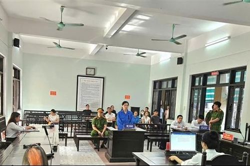 Tổng Giám đốc một công ty thủy điện cấu kết với cán bộ ngân hàng, chiếm đoạt 39 tỷ đồng