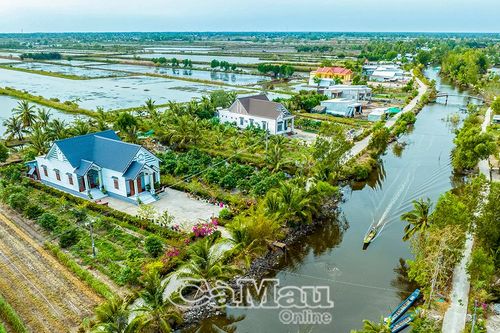 Phát huy lợi thế vùng sinh thái rừng, biển