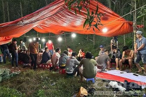 Triệt xóa sòng bạc 'khủng' trong rừng keo có xe đưa đón