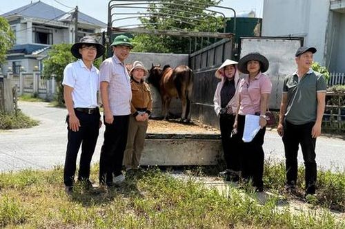 Hỗ trợ sinh kế cho người thuộc dự án đấu tranh phòng, chống mua bán người và nô lệ thời hiện đại