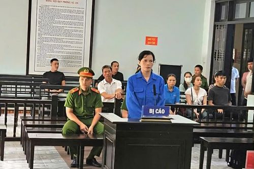 Nữ giám đốc 'giúp sức' chiếm đoạt hàng chục tỷ đồng