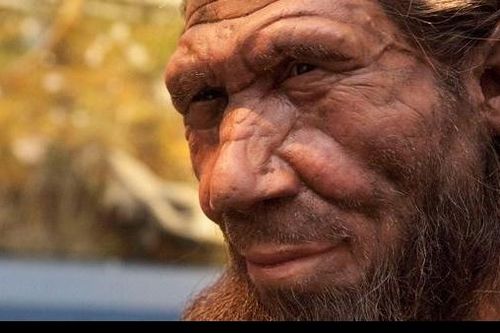 Vì sao người Neanderthal có gen di truyền đến con người hiện đại?