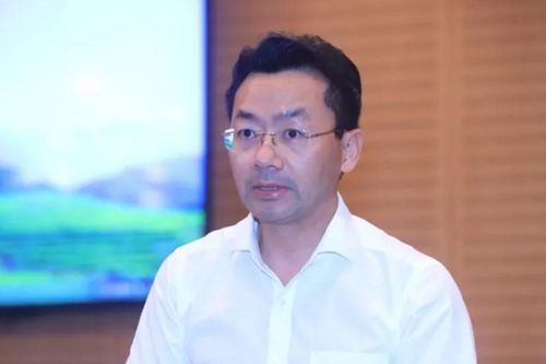 11 tập thể, cá nhân được khen thưởng trong phong trào thi đua yêu nước