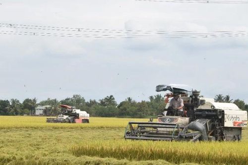 Phát triển nông nghiệp theo hướng bền vững
