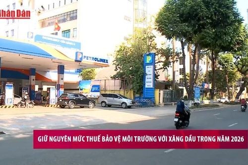 Giữ nguyên mức thuế bảo vệ môi trường với xăng dầu trong năm 2026