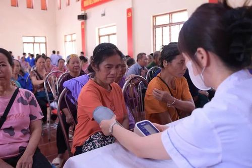 Nhiều hoạt động hỗ trợ cộng đồng trong chương trình tình nguyện 'Kỳ nghỉ hồng' năm 2025
