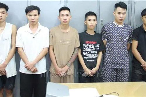 Livestream lừa bán đá 'đổ thạch', nhóm đối tượng chiếm đoạt 10 tỷ đồng