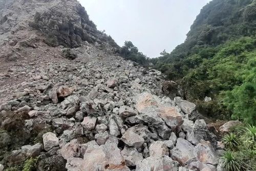 Tìm thấy thi thể người phụ nữ mất tích khi vào rừng bắt ốc