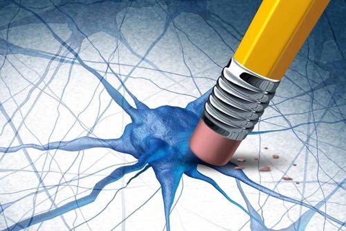 Hai hợp chất tự nhiên mở hướng mới điều trị Alzheimer