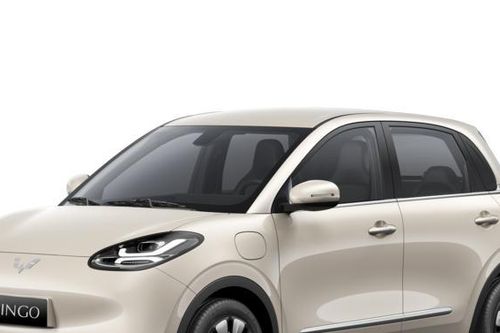 Đại gia Việt bán xe Trung Quốc bị xử lý vi phạm