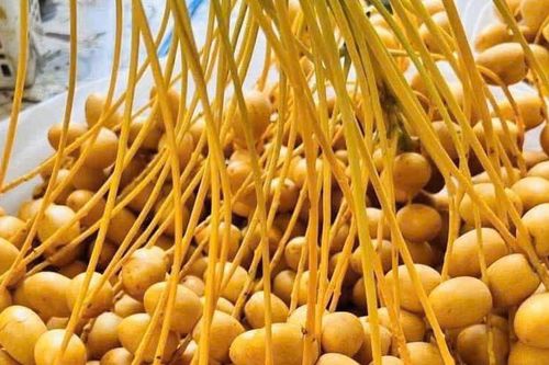 5 tác dụng của chà là tươi, nên ăn mấy quả mỗi ngày?