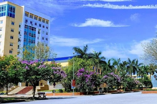 Điểm chuẩn ngành sư phạm ở Thanh Hóa cao nhất 28,38, ngang ngửa trường top đầu