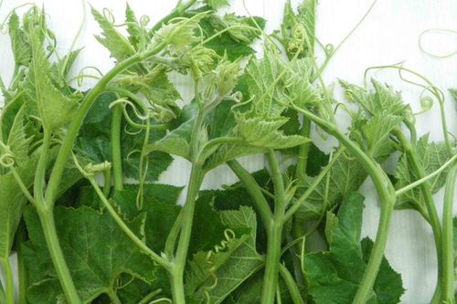 Món ngon hôm nay: Canh rau bí nấu thịt lợn