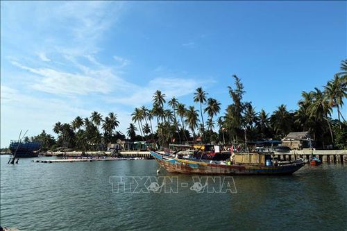Giữ màu xanh những cánh rừng nơi cửa biển - Bài 1: Những 'tuyến đê xanh'