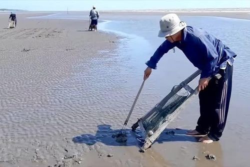 Vĩnh Long lên kế hoạch 'làm chủ kinh tế biển'