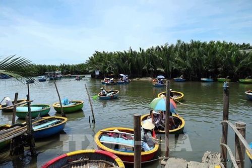 Giữ màu xanh những cánh rừng nơi cửa biển - Bài 1: Những 'tuyến đê xanh'