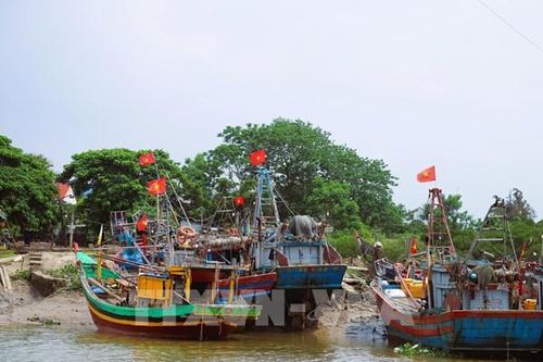 Nghệ An cấm tàu thuyền ra khơi từ 5 giờ ngày 24/8