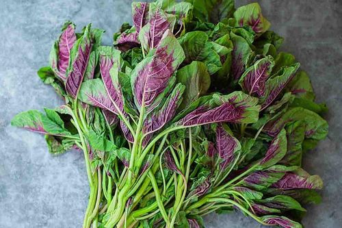 Loại rau được Mỹ khen bổ như thịt bò, ở chợ Việt bán rẻ chỉ vài nghìn