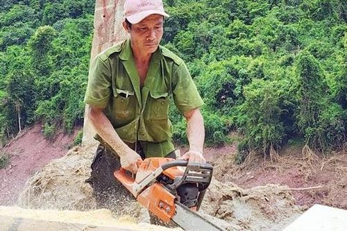 Đi tìm vật liệu, dựng lại mái nhà sau thiên tai