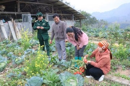 Nỗ lực xây dựng nông thôn mới ở xã biên giới Nghĩa Thuận