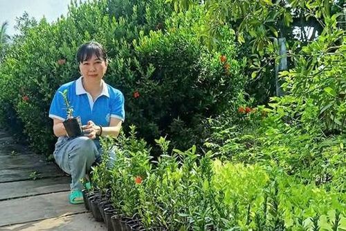 Phụ nữ Quách Phẩm xây dựng nông thôn mới bằng nhiều hoạt động thiết thực
