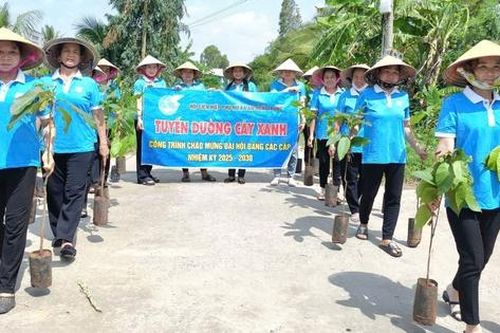 Phụ nữ xã An Ngãi Trung: Trồng 150 cây hoa trang trí chào mừng Quốc khánh 2/9