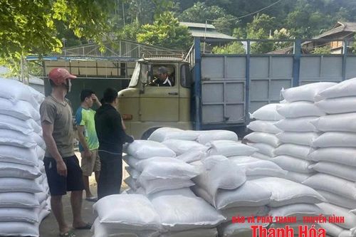 Hạt gạo giữ rừng vùng biên!