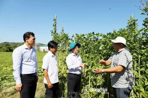Sẵn sàng cho vụ sản xuất mới