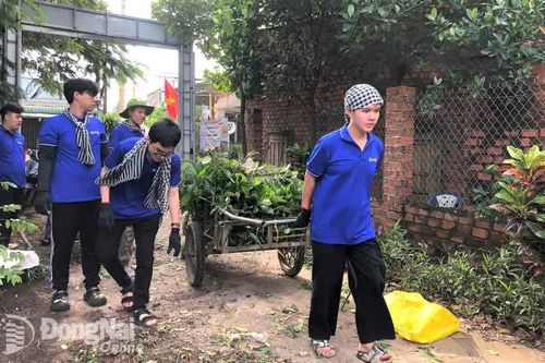 Xung kích trên mọi 'mặt trận'