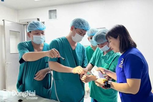 Khắp nơi trong tỉnh ngày 23-8-2025