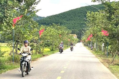 Kim Sơn chung sức dựng xây nông thôn mới