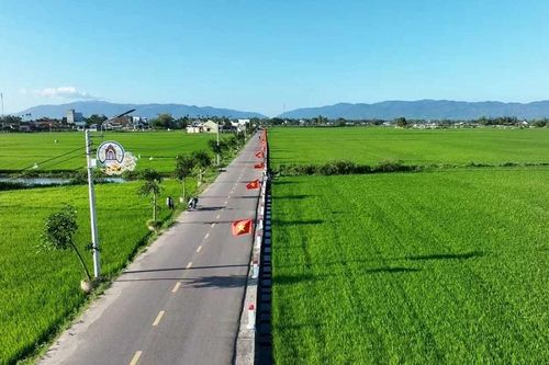 Đưa Tuy Phước Bắc trở thành xã phát triển khá