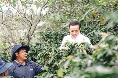 Tạo thu nhập cho vùng đồng bào dân tộc thiểu số